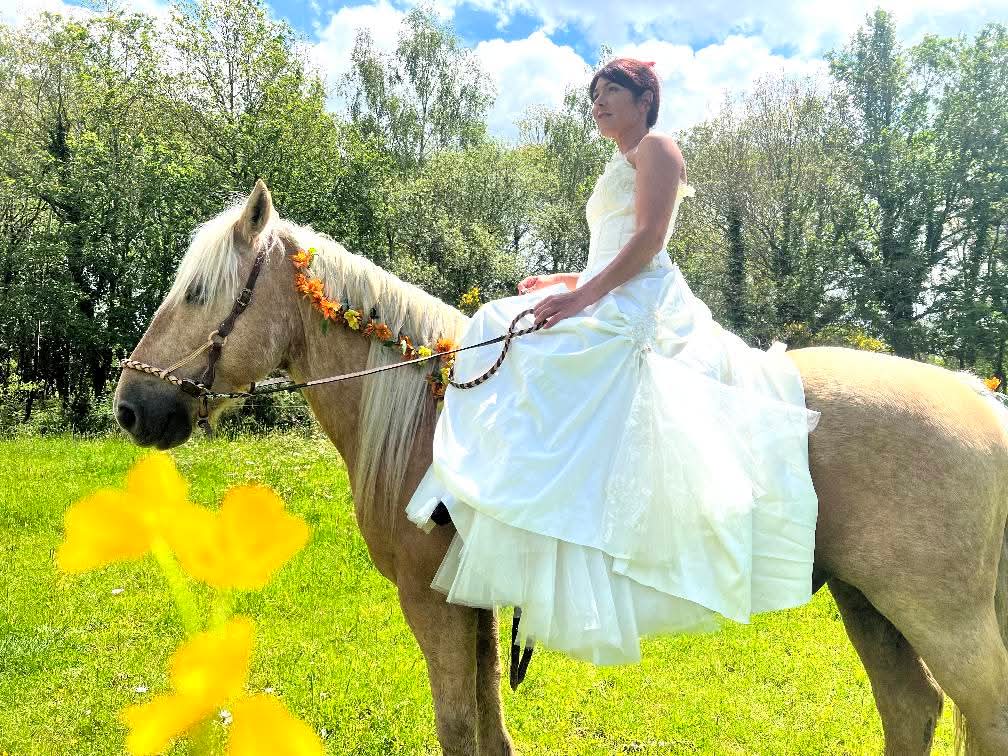 Terre de cheval
